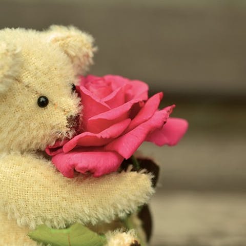 5 best Valentine’s Day gifts for her