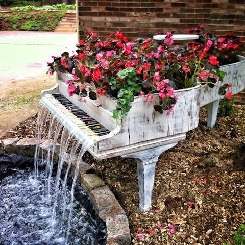 More fun in your garden !
