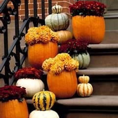 HALLOWEEN FLOWERS PARADE AMIDST PUMPKINS AND MONSTERS