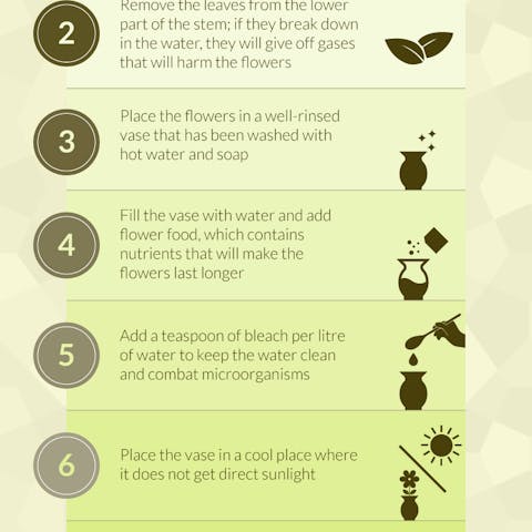 Make your fresh flowers last longer!