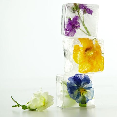Tantalise your tastebuds and beautify your dishes with edible flowers