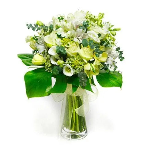 Look-Ahead-to-Spring-Plants-and-Flowers-for-the-New-Season Flora Queen