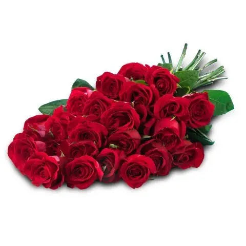 What-Sort-of-Flowers-Do-I-Send-On-Valentine-s-Day Flora Queen