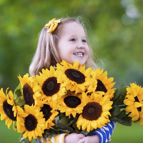 Flowers to Banish the Winter Blues – How to Bring Colour into Your Home