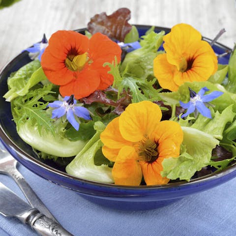 Spring can also be tasty!