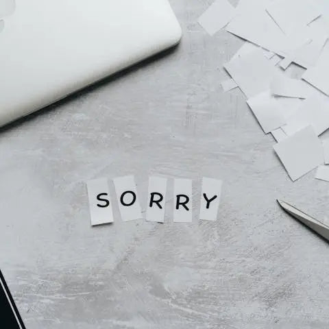 The-Art-of-Apologizing-Restoring-Harmony-in-Relationships Flora Queen