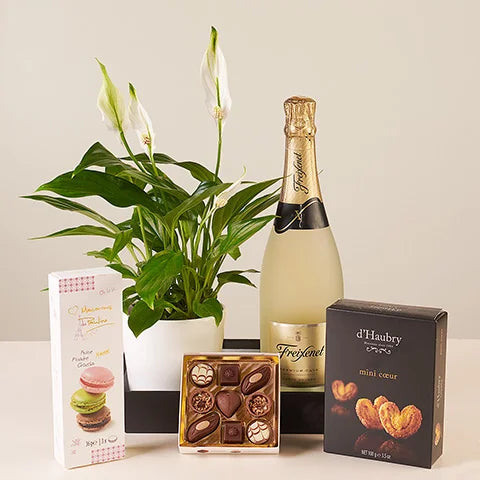 Sweet and Green – Unsere einzigartige neue saisonale Kollektion, die darauf abzielt, Eindruck zu hinterlassen!